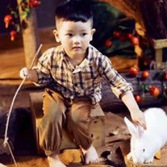Trần Quân