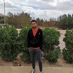 saleh gabriel