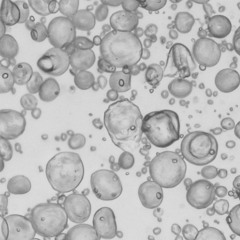 ｔｈｉｒｔｙｍｉｌｌｌｉｏｎ