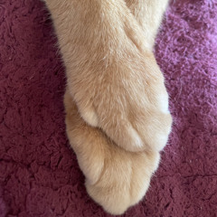 ビックマム