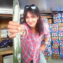 Olga (SFIN-A-KI) Tarros