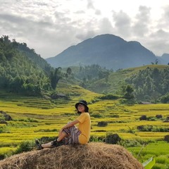 Linh Linh