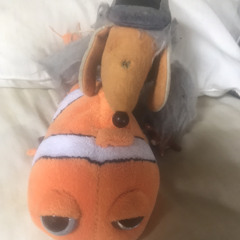 Womble and fish