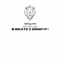 B BEATZ X DROP IT !