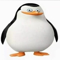 duc