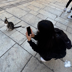 요정잉