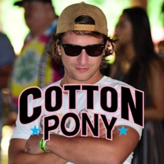 Cotton Pony