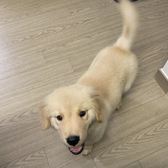 하루
