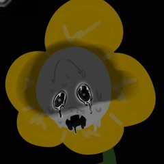 zzz