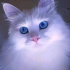 Сергей Кейчин