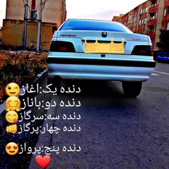 amirnikan