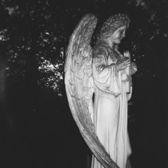 ibelongtoanunholydisorder