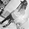 Y_Slutty