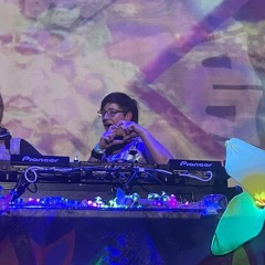 Elektropanda