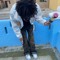 Sxtskii