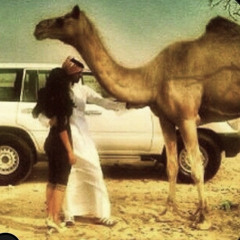 Al Jhdri .