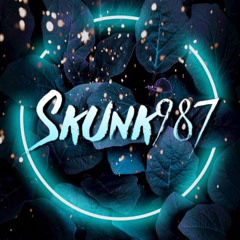 SKUNK987•RMX