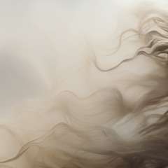 KLLKSPR • @kllkspr