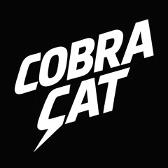 DJ Cobra Cat