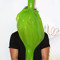 Slimeaye