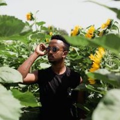 Roi Alamo