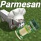 Parmesan Cat