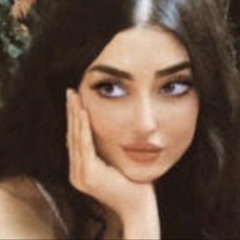 ss_101v