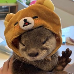 hnanhne