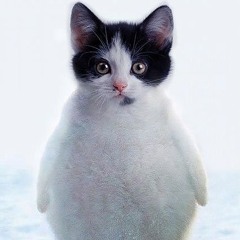 Miau