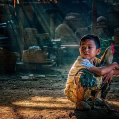 Phuc Nguyen