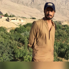 fiyyaz zehri