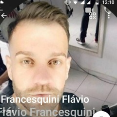 Flávio C Francesquini