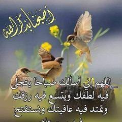 Hassan el Gareh