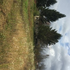 SLATINA