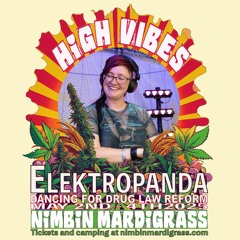 Elektropanda