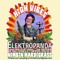 Elektropanda