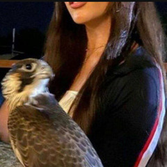 ســ القبيسي