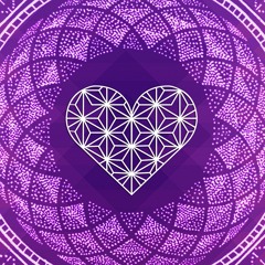 Where The Heart Is