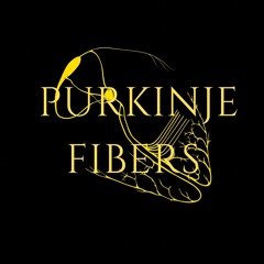 Purkinje Fibers