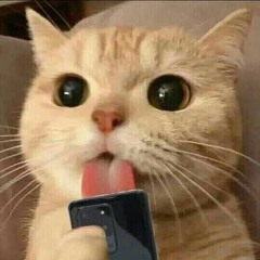 Nhạc Cổ Đánh Đổ Dân Chơi