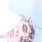 connordumser3