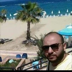 الدود الحفار