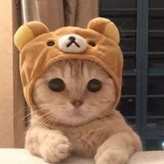 Viet Khoi