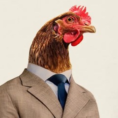 chicken