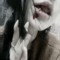 liahollies