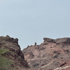Saeed Hossseyni