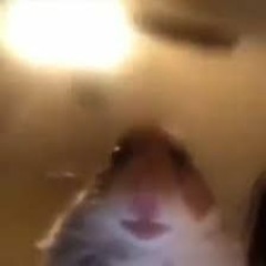 FREE Sound Effects Pack YouTubers Use!  (Royalty Free)