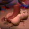 Sausage