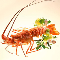 DJ Langostino