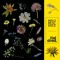Audible Floristry
